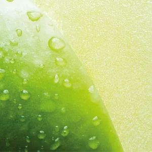 RELX Infinity2 Pod-Crisp Apple (Green Apple)