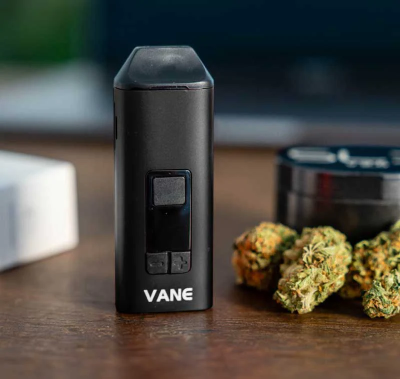 Vane-yocan.webp