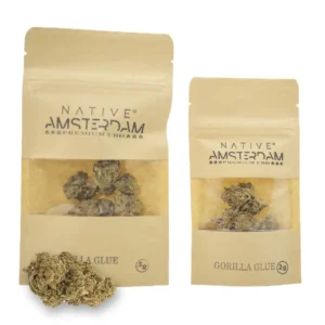 CBD Gorilla Glue 2gr e 5gr – Native Amsterdam