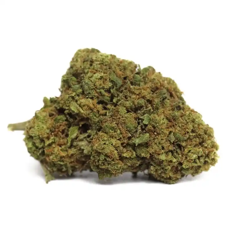 gelato-h4cbd-flor.webp