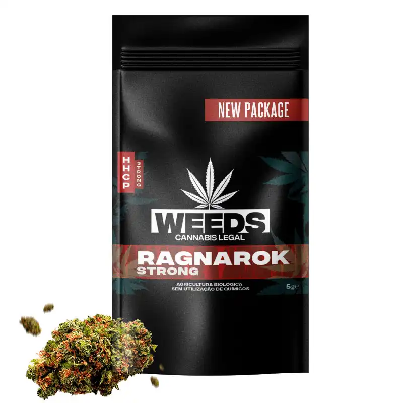 ragnarok-hhcp-5gr-strong-1.webp