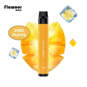 Vape Descartável – Flawoor Max – Mangue Glacée