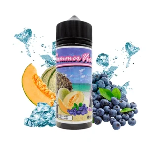 Summer Vice Honeydew Blueberry 100ml