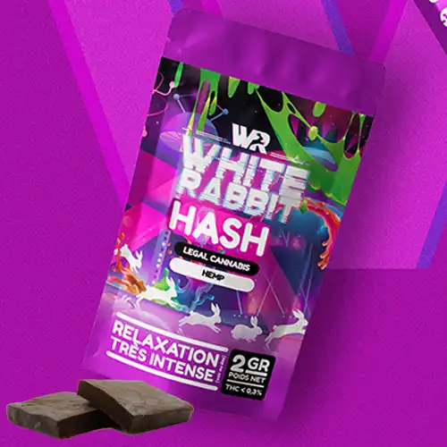white-rabbit-hash-hhc.webp