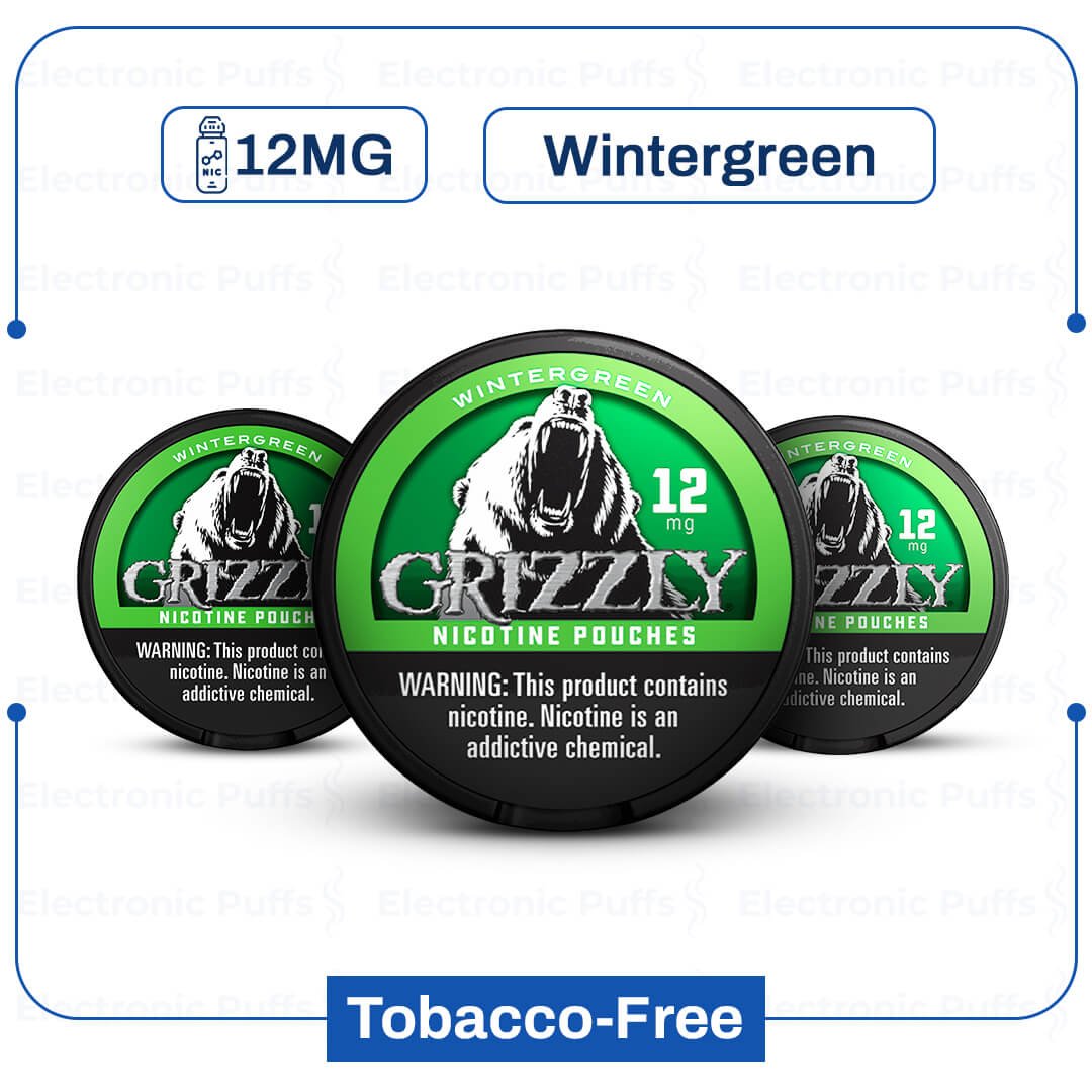 Grizzly-Wintergreen-12-mg-Nicotine-Pouch.jpg