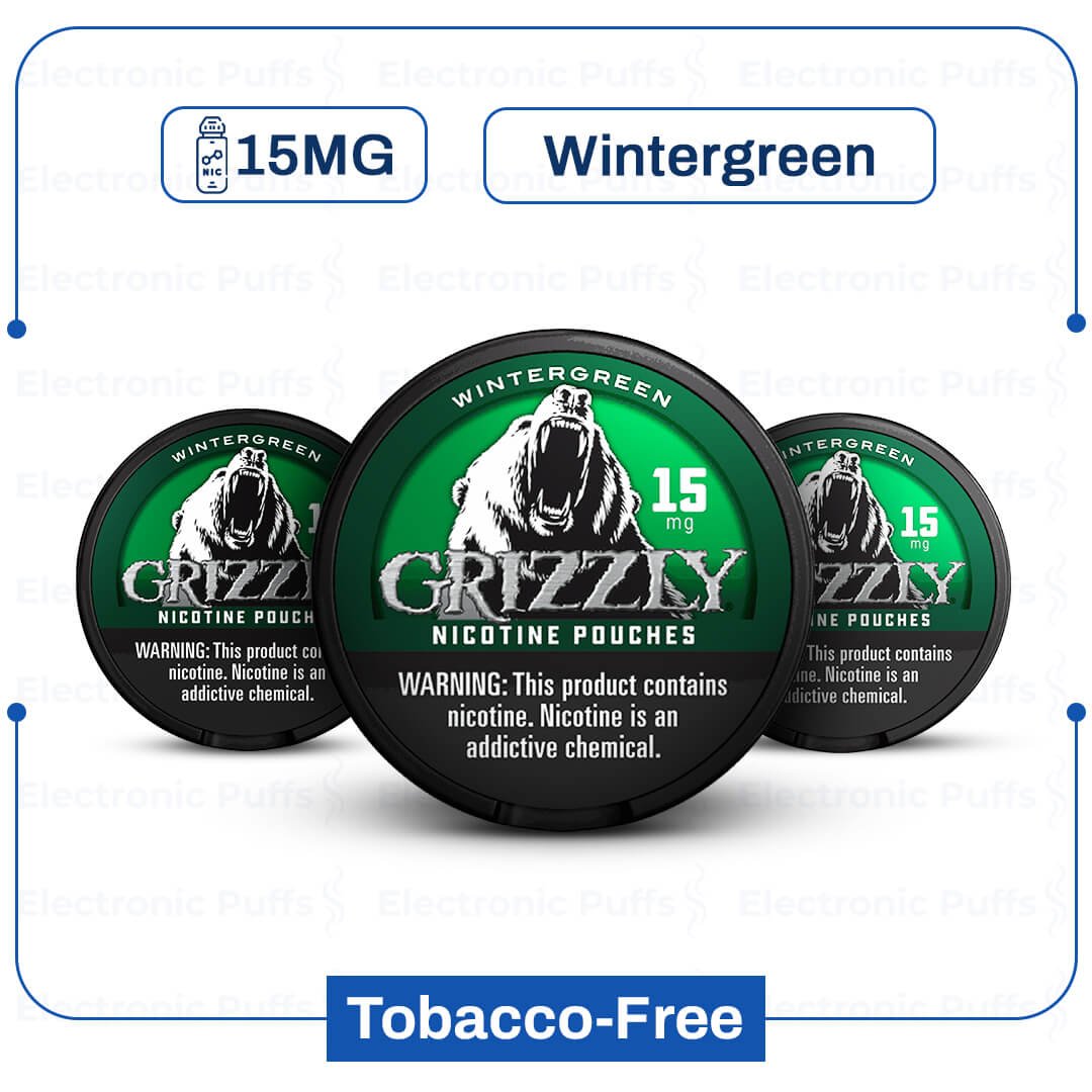 Grizzly-Wintergreen-15-mg-Nicotine-Pouch.jpg
