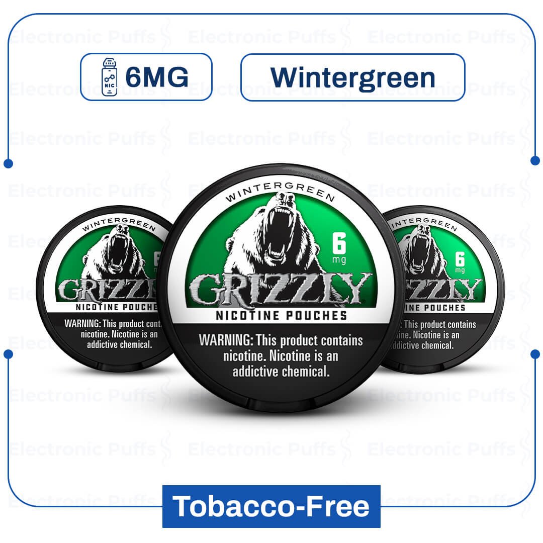 Grizzly-Wintergreen-6-mg-Nicotine-Pouch.jpg