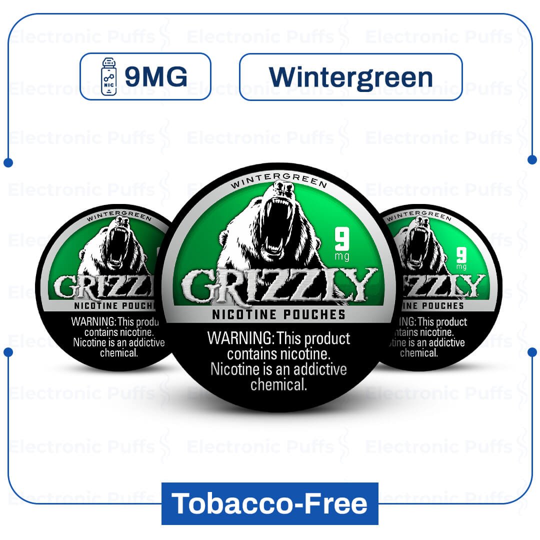 Grizzly-Wintergreen-9-mg-Nicotine-Pouch.jpg