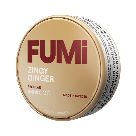 fumi-zingy-ginger.png